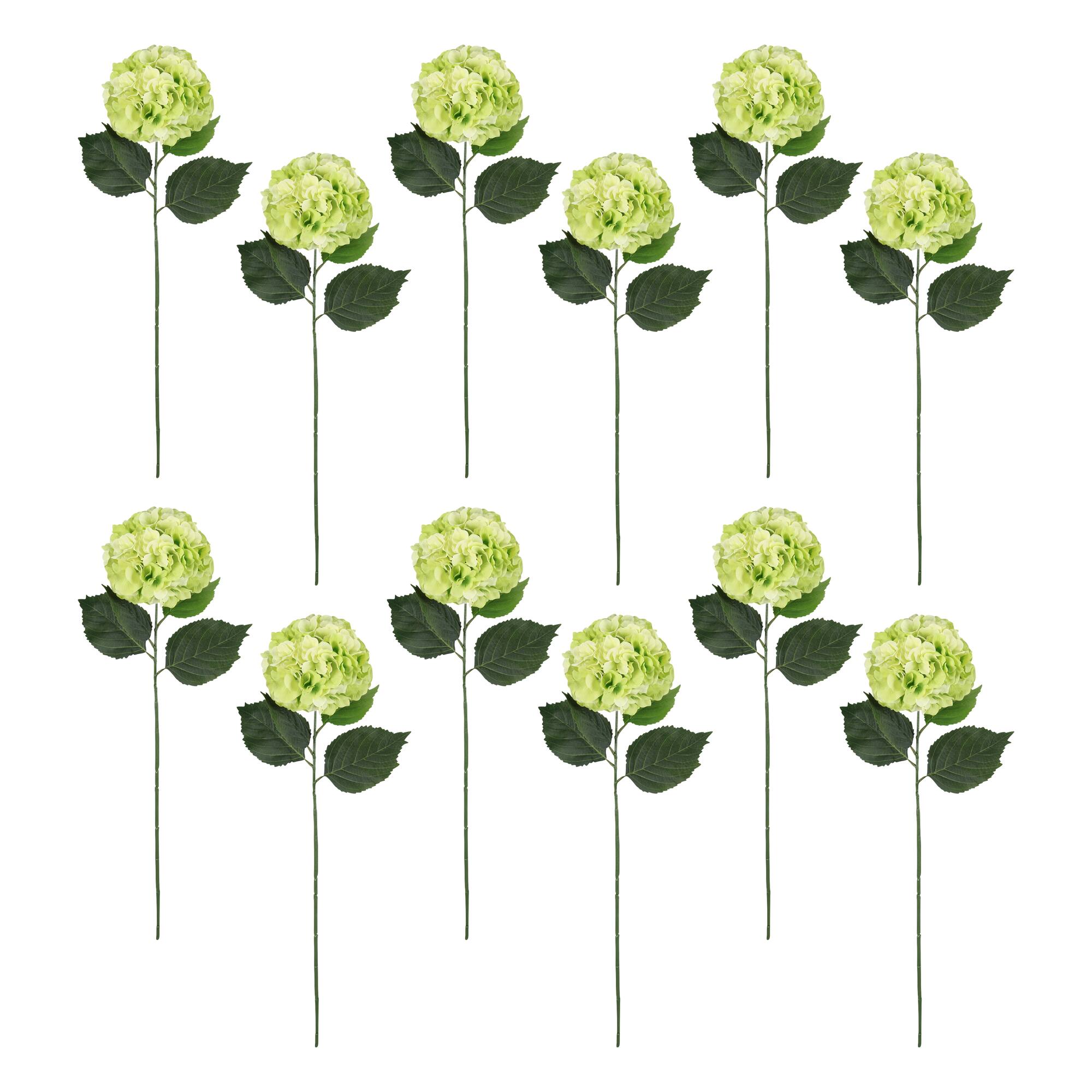 12 Pack: Green Hydrangea Stem by Ashland®